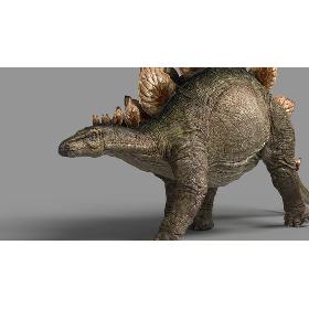 Stegosaurus max